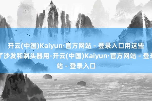开云(中国)Kaiyun·官方网站 - 登录入口用这些钱买了沙发和剃头器用-开云(中国)Kaiyun·官方网站 - 登录入口