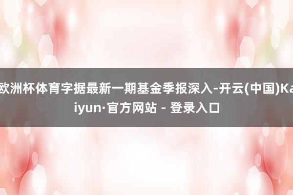 欧洲杯体育字据最新一期基金季报深入-开云(中国)Kaiyun·官方网站 - 登录入口