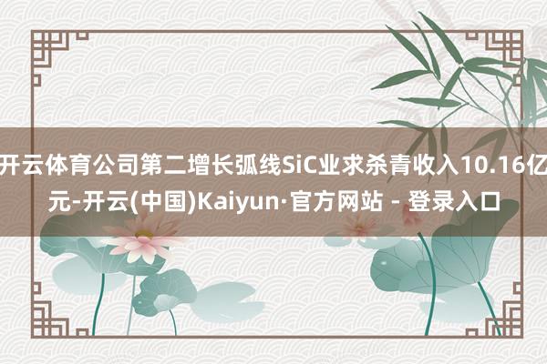 开云体育公司第二增长弧线SiC业求杀青收入10.16亿元-开云(中国)Kaiyun·官方网站 - 登录入口